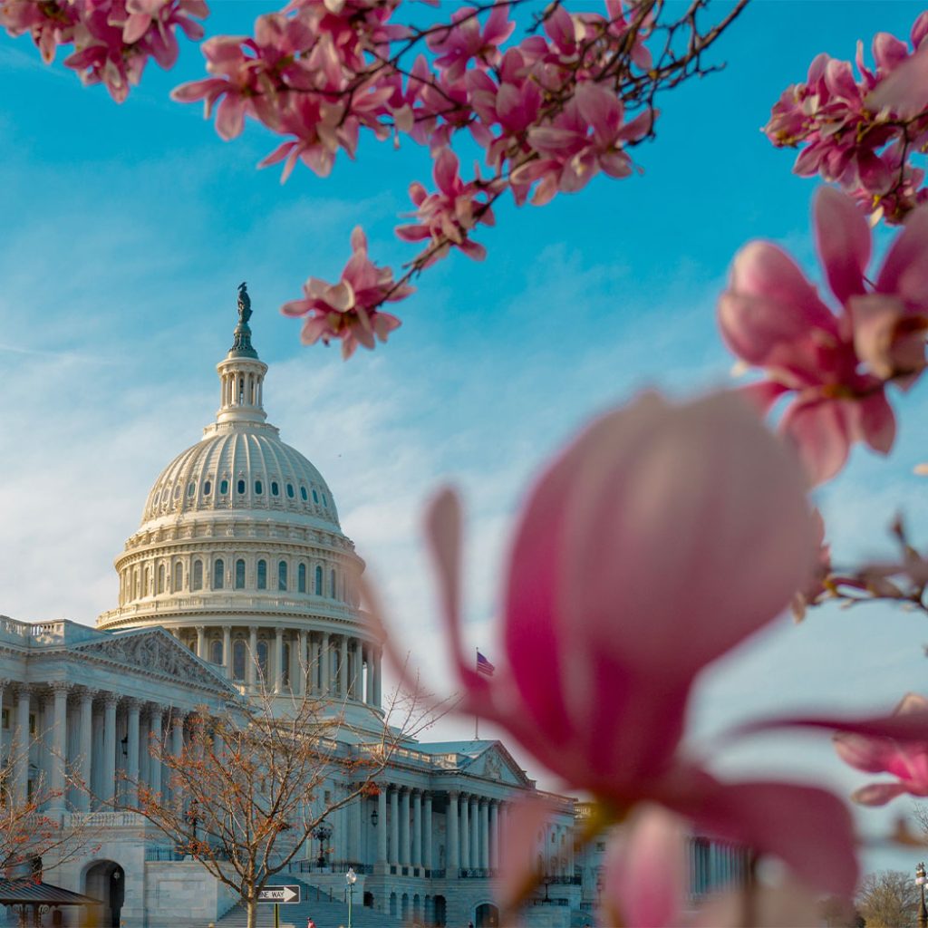 Unstoppable Faith: Rising Up to Protect Our Families and Values