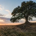 Staying Grounded Through Discernment